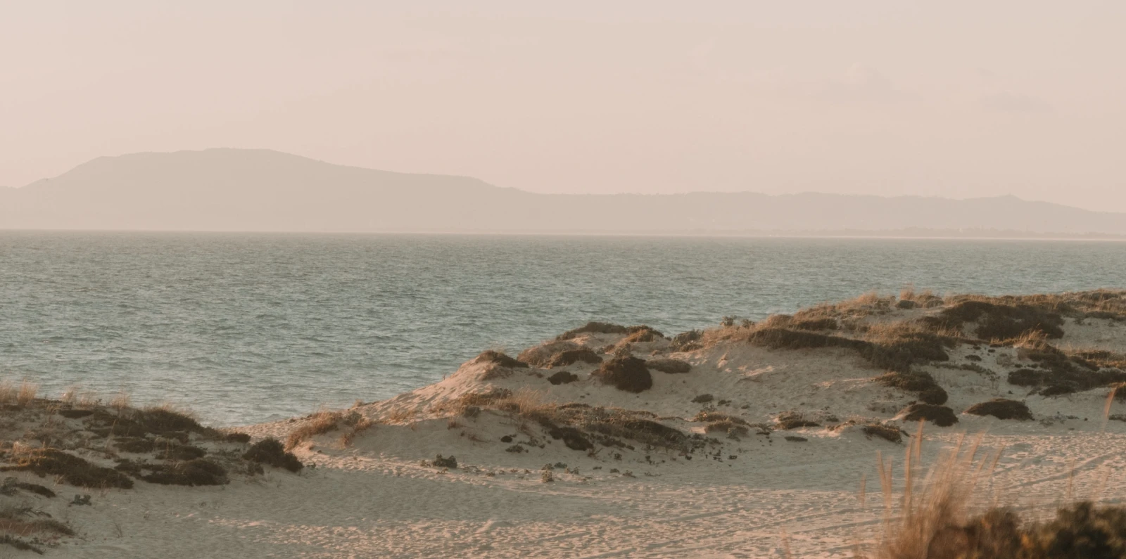 Beach dunes at Comporta
